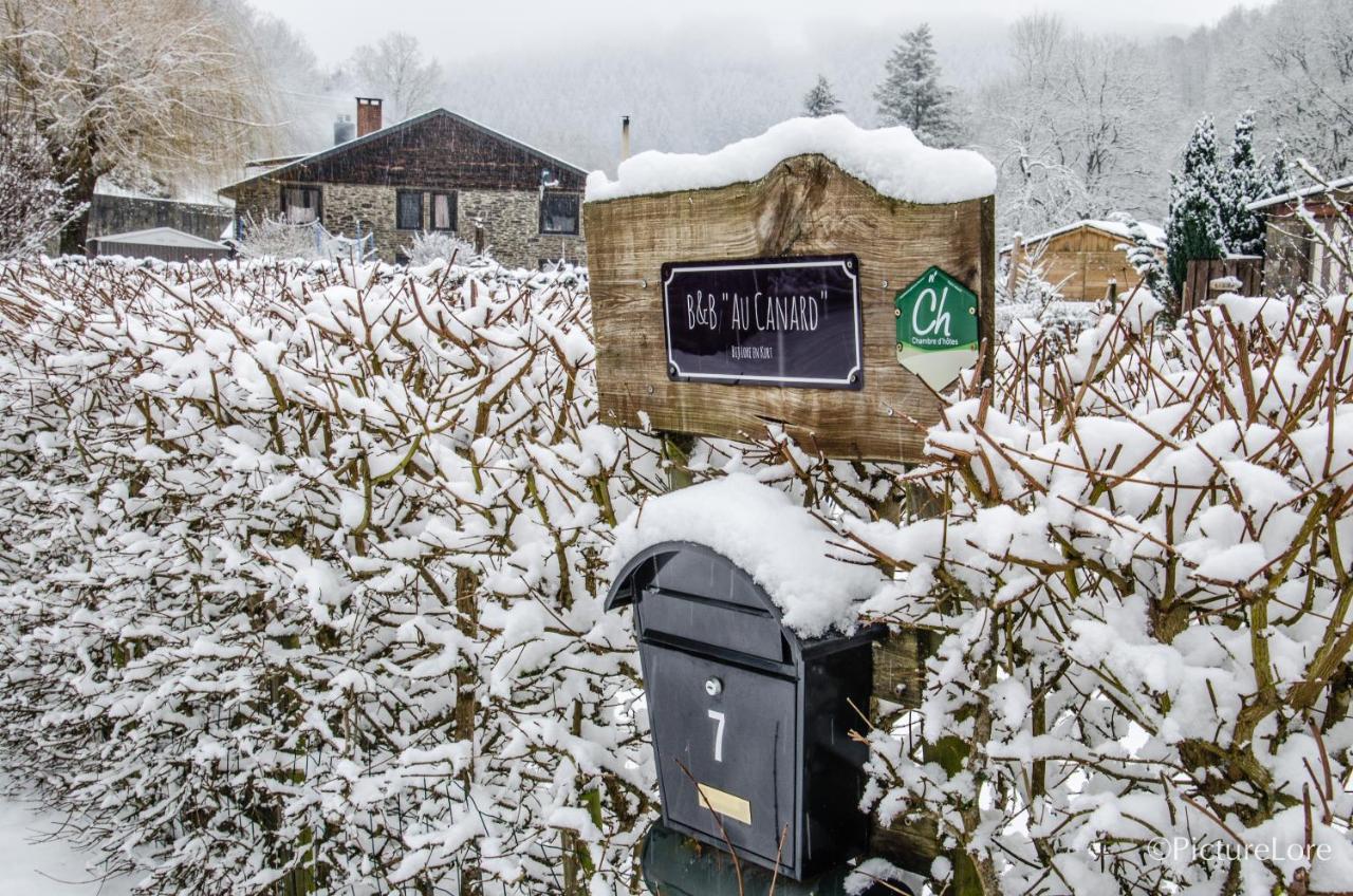 B&B Au Canard La-Roche-en-Ardenne Dış mekan fotoğraf