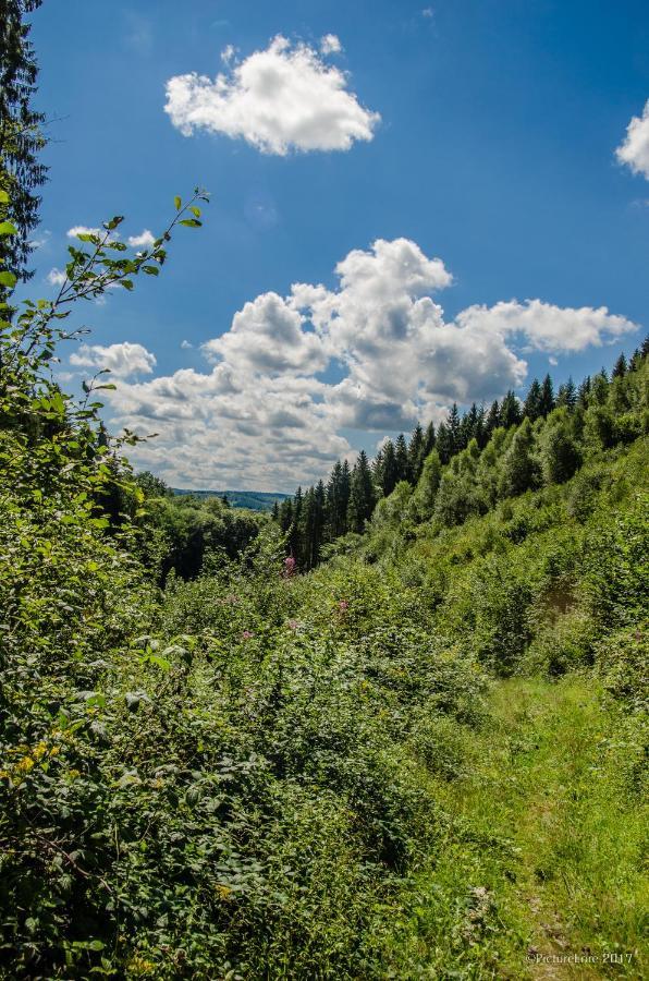 B&B Au Canard La-Roche-en-Ardenne Dış mekan fotoğraf